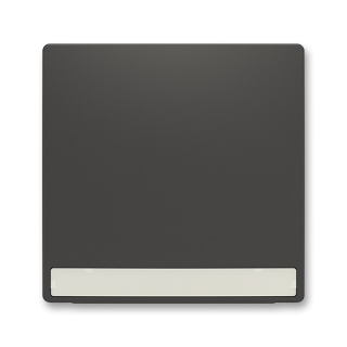 ABB 3559T-A00610 237 ZONI Kryt spínače jednoduchý, s popisovým polem matná černá