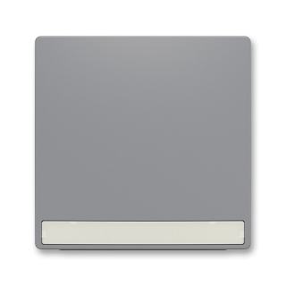 ABB 3559T-A00610 241 ZONI Kryt spínače jednoduchý, s popisovým polem šedá