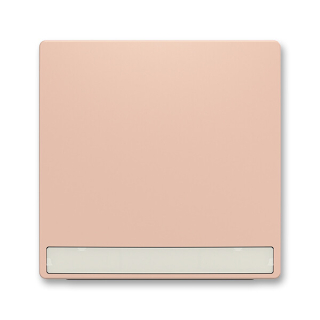 ABB 3559T-A00610 242 ZONI Kryt spínače jednoduchý, s popisovým polem pudrová