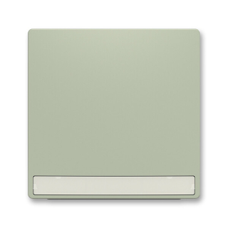 ABB 3559T-A00610 243 ZONI Kryt spínače jednoduchý, s popisovým polem olivová