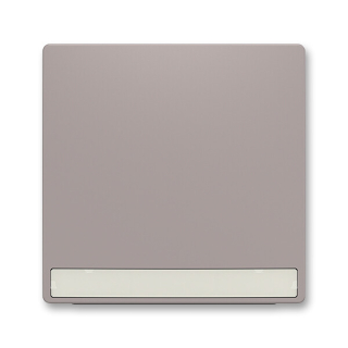 ABB 3559T-A00610 244 ZONI Kryt spínače jednoduchý, s popisovým polem greige