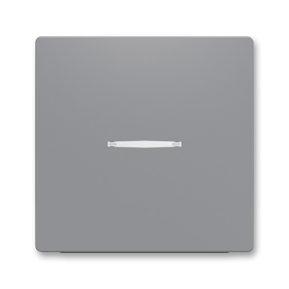 ABB 3559T-A00653 241 ZONI Kryt spínače jednoduchý, s průzorem šedá