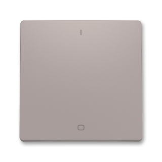 ABB 3559T-A00655 244 ZONI Kryt spínače jednoduchý s potiskem, pro řazení 2 greige
