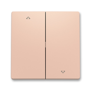 ABB 3559T-A00662 242 ZONI Kryt spínače žaluziového dělený, s potiskem pudrová