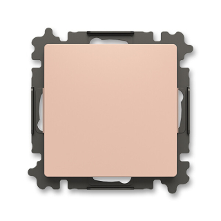 ABB 3902T-A00001 242 ZONI Kryt zaslepovací, s upevňovacím třmenem pudrová