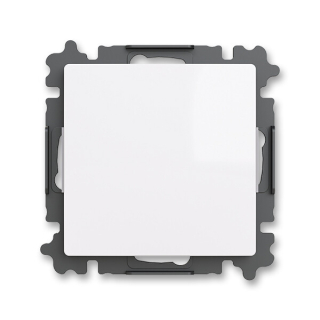 ABB 3902T-A00001 500 ZONI Kryt zaslepovací, s upevňovacím třmenem bílá