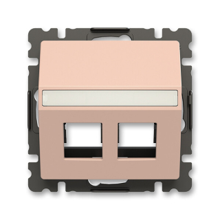ABB 5014T-A00418 242 ZONI Kryt zásuvky komunikační přímé (2x), s upevňovacím třmenem pudrová