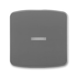 Kryt vypínače ABB Tango 3558A-A653 S2 kouřově šedá s průhledným průzorem pro doutnavku